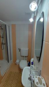 a bathroom with a toilet and a sink and a mirror at Gabriella vendégház in Lăzarea