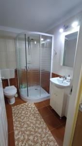 a bathroom with a shower and a toilet and a sink at Gabriella vendégház in Lăzarea