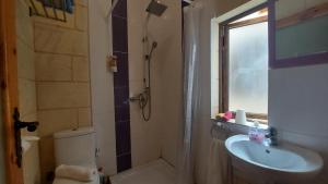 a bathroom with a shower and a sink and a toilet at Just a Simple Room at Happy and Healthy Gozo in Victoria