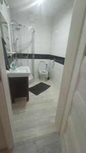 a bathroom with a shower and a sink and a toilet at Apartament Blondynka Miasto Soli Bochnia in Bochnia