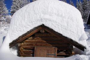 Hotel Burtschahof pozimi