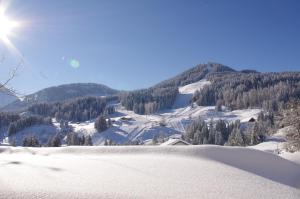 Hotel Burtschahof pozimi