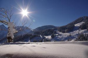 Pokrajina v okolici hotela