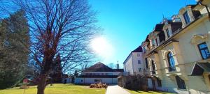 un groupe de bâtiments et un arbre dans une cour dans l'établissement Johannes Schlössl - Gästehaus der Pallottiner am Mönchsberg, à Salzbourg