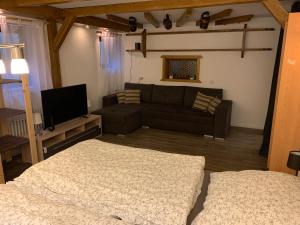 TV a/nebo společenská místnost v ubytování Ferienwohnung "Am Mittag"