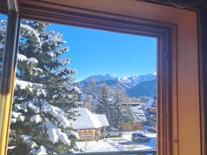 コシチェリスコにあるWilla Krzesanicaの雪に覆われた木の景色を望む窓