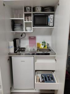 eine kleine Küche mit einer Spüle und einer Mikrowelle in der Unterkunft Hochfeld Apartment in Augsburg in Augsburg