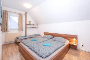 sypialnia z 2 łóżkami i niebieskimi poduszkami w obiekcie Depandance MARNET Sněžník w mieście Dolní Morava