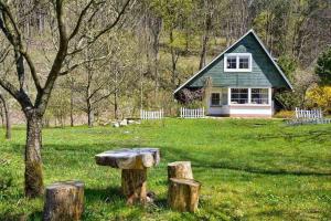 una pequeña casa en medio de un campo con un árbol en Eco-Rajka Nowy Gierałtów 17 b, en Nowy Gierałtów