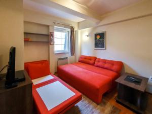- un salon avec un canapé rouge et une télévision dans l'établissement Apartman Cvejic - Suncani apartmani, à Brzeće