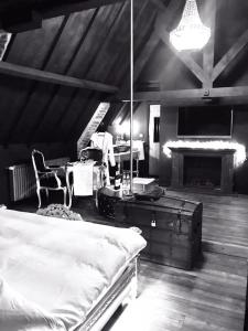 um quarto com uma cama, uma secretária e uma lareira em Domaine 10 em Schore