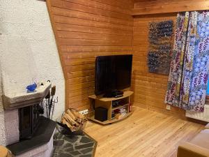 un salon avec une télévision sur un mur en bois dans l'établissement Panoraama 1, à Saariselka