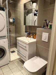 オスロにあるOslo City Apartmentのバスルーム(トイレ、洗面台、シャワー付)