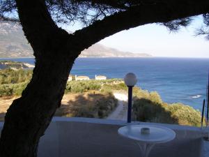 Příroda nedaleko vily