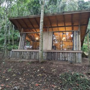 una casa de madera en medio de un bosque en Zen Oasis del Bosque, ¡A place to reconnect!, en Calima