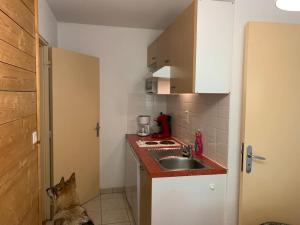 una cucina con un gatto seduto sul pavimento accanto a un lavandino di T3 idéal ski et randonnée en famille a Cauterets