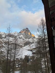 a mountain covered in snow with trees in the foreground at Appartamento + box a Cervinia con vista in Breuil-Cervinia