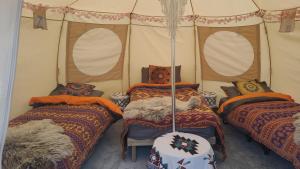 a room with four beds in a tent at glamping in Dromineer in Dromineer