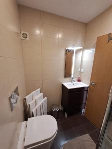 a bathroom with a toilet and a sink and a mirror at Casa dos Cotas - Amazing Seaside Apartment with Balcony in Cascais