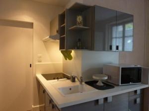 Kuchyň nebo kuchyňský kout v ubytování Charmant T1 au Mont-Dore pour 4 pers., centre-ville - FR-1-608-184