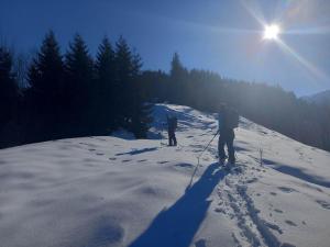VARD-CIKHE durante l'inverno