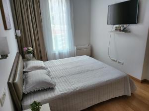 布德瓦Budvariana Apartments的一间卧室，里面有一张床和一台平板电视