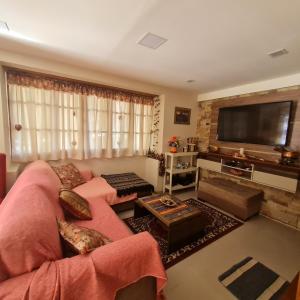 sala de estar con sofá rosa y TV de pantalla plana en Cabana Brown - Andarlibre en San Martín de los Andes