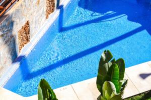a blue swimming pool with a plant next to it at Apartamento Añoreta Golf in Torre de Benagalbón