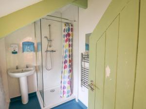 a bathroom with a shower and a sink at Lower Treginnis Farm in St. Davids