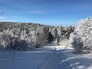 eine schneebedeckte Straße mit Bäumen in der Ferne in der Unterkunft Appartement T3 au Mont-Dore, Centre, 3 étoiles, balcon, ascenseur, WIFI, proche Thermes et navette ski - FR-1-608-17 in Le Mont-Dore + 8 Fotos