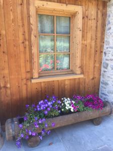 ein Fenster mit Blumen vor einer Holzwand in der Unterkunft Appartamento Montagnards in Morgex