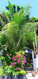 a garden with pink flowers and a palm tree at Cozy 1-bedroom house in quiet residential village. in Iloilo City