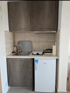 uma cozinha com um lavatório e um frigorífico branco em Louros rooms em Koufonisia