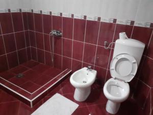 y baño con aseo, lavabo y ducha. en Luxury House, en Bijelo Polje