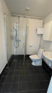 ベクショーにあるVallabiten Rum och Lägenheterのバスルーム(シャワー、トイレ、シンク付)