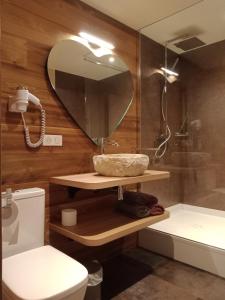 ein Badezimmer mit einem Waschbecken, einem Spiegel und einem WC in der Unterkunft Auberge de la Motte in Les Combes