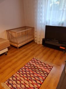 a living room with a television and a rug on the floor at Przytulny apartament blisko centrum in Katowice