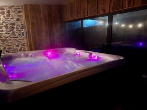 y baño con bañera con luces rosas. en A La Mémoire de Merlin & SPA en Saint-Malon-sur-Mel