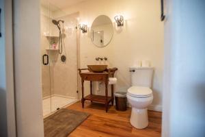 a bathroom with a shower and a toilet and a sink at Cowbell Cabin 15min to Downtown Waco in Waco