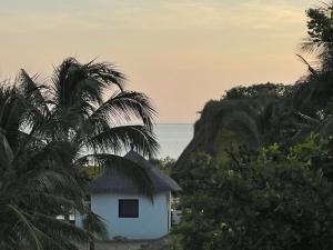 ein weißes Haus mit Palmen vor dem Meer in der Unterkunft LE 17 to DJIFFER in Palmarin