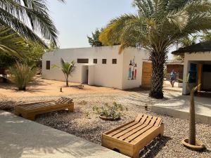 two benches in front of a building with a palm tree at LE 17 to DJIFFER in Palmarin