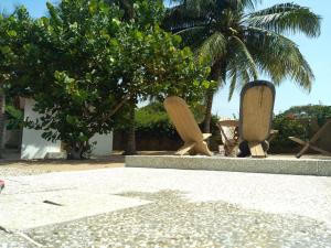 a cat is sitting next to two wooden sculptures at LE 17 to DJIFFER in Palmarin