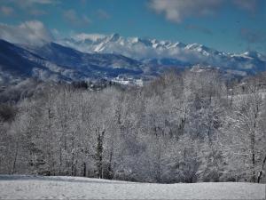 Γενική θέα στο βουνό ή θέα στο βουνό από  αυτό το σαλέ +10 φωτογραφίες