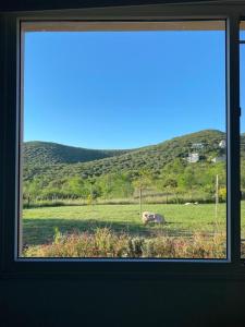 una ventana con vistas a un campo con ovejas en Los Mirlos en La Cumbre