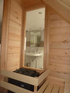 諾伊豪森的住宿－Apfeltraum-Erzgebirge，一间带水槽和镜子的浴室