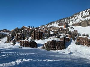 莫爾濟訥的住宿－Avoriaz - Portes du Soleil : Aux pieds des pistes，山上雪地中的滑雪胜地