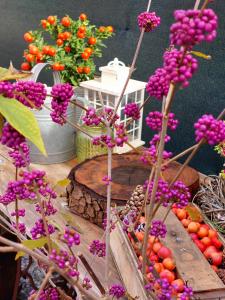 Gallery image of CASA AUTUNNO in Monzambano