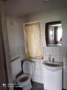 ein Badezimmer mit einem WC, einem Waschbecken und einem Spiegel in der Unterkunft Domek na skraju lasu in Dąbrowa Górna