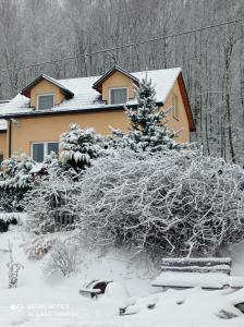 ein Haus mit schneebedeckten Bäumen und einem Haus in der Unterkunft Domek na skraju lasu in Dąbrowa Górna