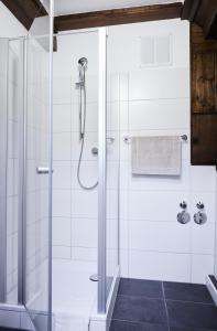 a shower with a glass door in a bathroom at Gentilburg und Gärtnerhaus Aschaffenburg in Aschaffenburg